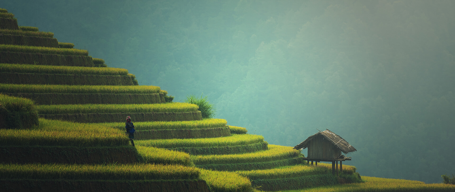 텔로유스,텔로유스 파우더,한국 텔로유스,teloyouth,텔로메가,엘에이 텔로유스,텔로메가,서울 텔로유스,텔로유스 줄기세포영양제,젊음회복,수례안,텔로유스 가격,오렌지카운티 OC 텔로유스,la 텔로유스,22