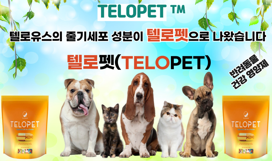 텔로펫,텔로유스 반려동물 영양제,텔로펫 영양제,텔로펫 강아지 영양제,텔로펫 고양이 영양제,텔로펫 반려동물 영양제,미국 텔로펫,한국 텔로펫,027