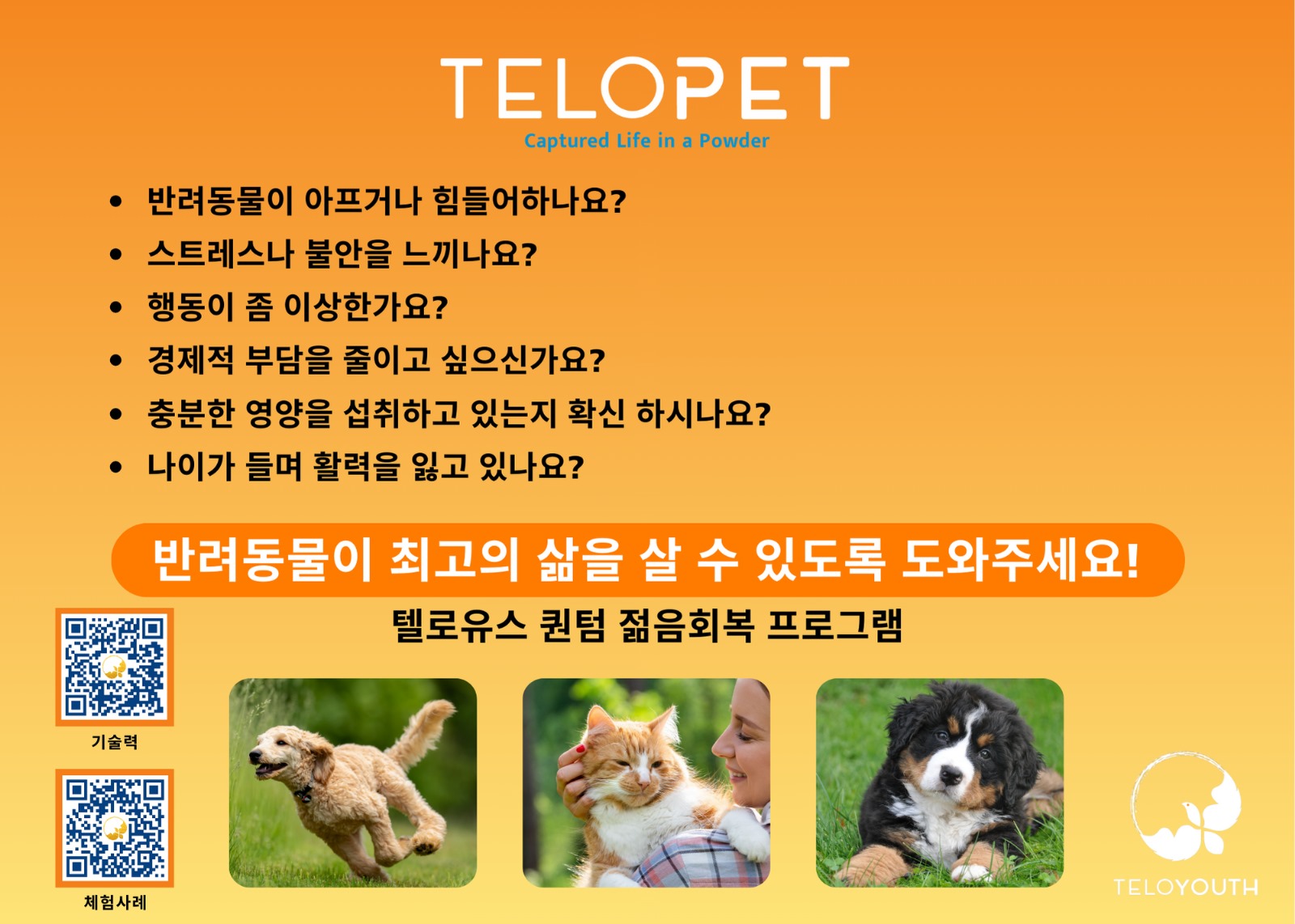 텔로펫,텔로유스 반려동물 영양제,텔로펫 영양제,텔로펫 강아지 영양제,텔로펫 고양이 영양제,텔로펫 반려동물 영양제,미국 텔로펫,한국 텔로펫,03