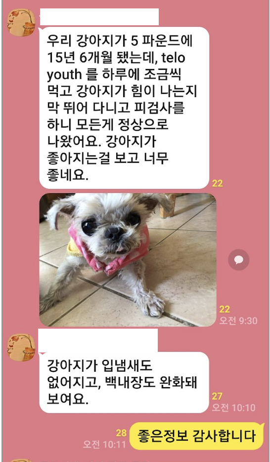 텔로펫,텔로펫 체험사례,텔로유스 반려동물 영양제,텔로펫 영양제,텔로펫 강아지 영양제,텔로펫 고양이 영양제,텔로펫 반려동물 영양제,미국 텔로펫,한국 텔로펫,07